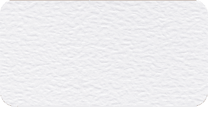 A person in winter clothing with a dog on a snowy pathway. Snow-covered trees line the path under a clear blue sky.